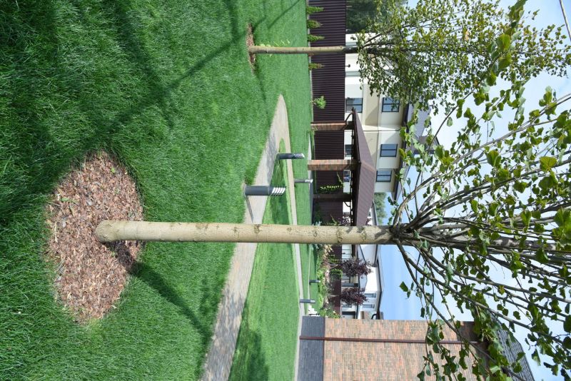 Landscape Integration